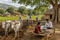 Centre for Tribal and land Rights (CTLR)